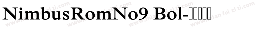 NimbusRomNo9 Bol字体转换